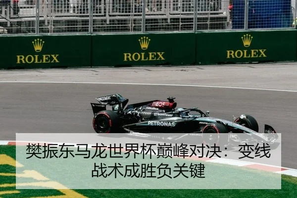 樊振东马龙世界杯巅峰对决：变线战术成胜负关键