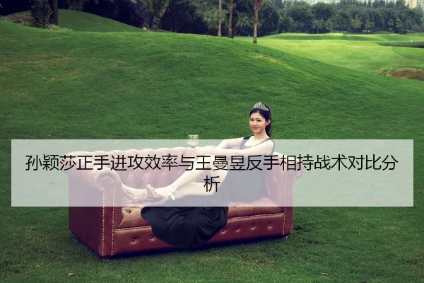 sun-ying-sha-zheng-shou-jin-gong-xiao-lv-yu-wang-man-yu-fan-shou-xiang-chi-zhan-shu-dui-bi-fen-xi-2-542.jpg