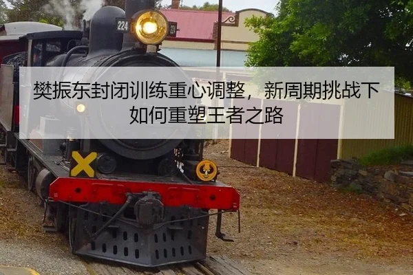 樊振东封闭训练重心调整，新周期挑战下如何重塑王者之路